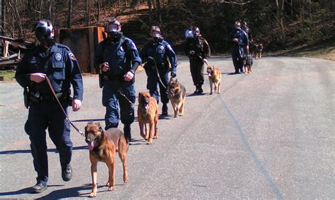 Police K9 Training | Tactical Police K9 Training