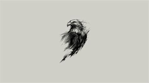 HD wallpaper: black and white American eagle, animals, nature, bald ...