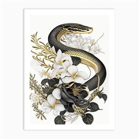 Monocled Cobra Snake Gold And Black Art Print by The Snake Pit - Fy