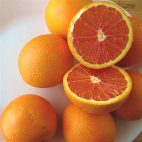 When are Cara Cara Navel Oranges in Season - Eat Like No One Else