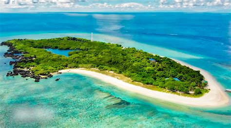 VIDEO: Apo Reef Philippines Aerial View