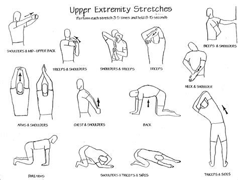 Upper body stretches - great for maintaining flexibility which helps with faster recovery in ...