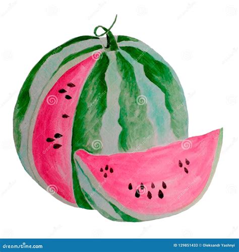 Hand Drawn Watercolor Painting. Watermelon With Slice Isolated On White Background. Watercolor ...