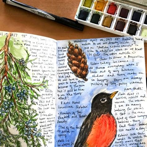 How to Start a Nature Journal – Jennie Moraitis | Nature journal, Travel art journal, Homeschool ...