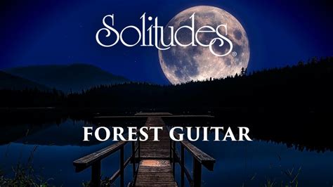 Dan Gibson’s Solitudes - Moonlight Shimmer | Forest Guitar - YouTube