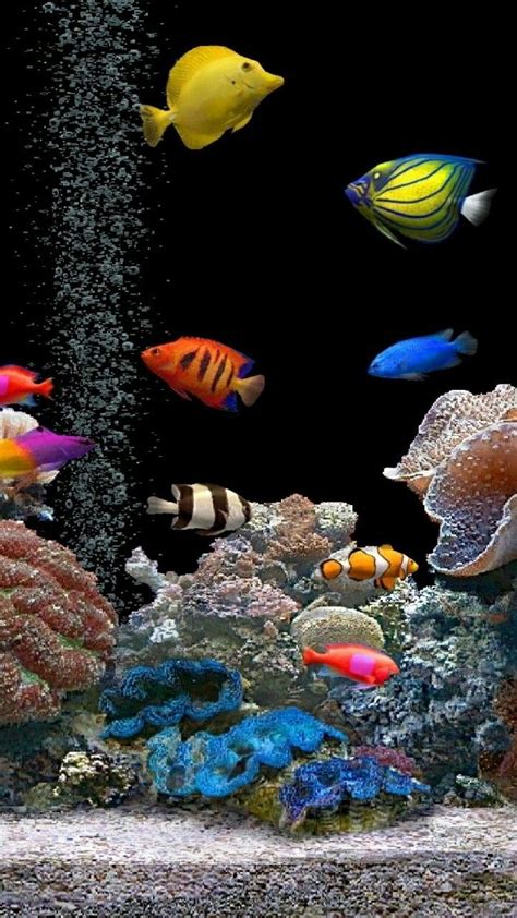 ☎☏Y.L.A | Animali acquatici, Arte pesce, Segno dei pesci