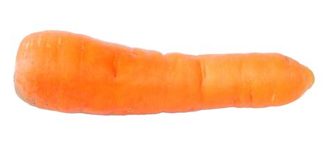 Carrot isolated on white background 3151595 Stock Photo at Vecteezy