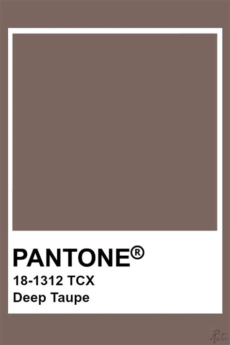 Pantone Deep Taupe | Pantone swatches, Pantone color, Pantone colour ...