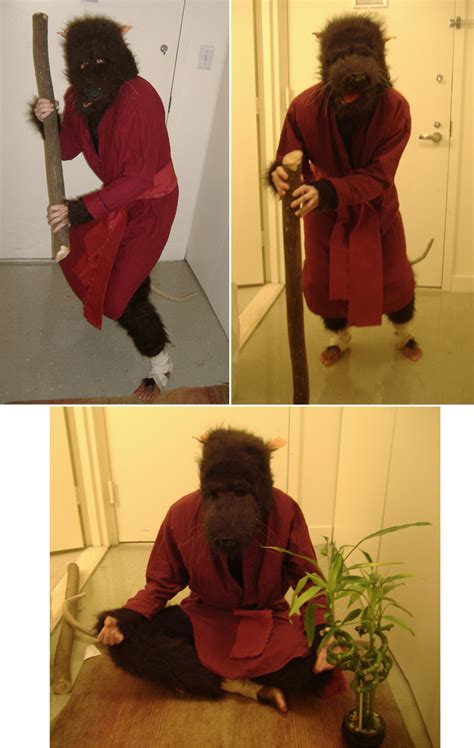 Master Splinter Costume by TheLionHearted on DeviantArt