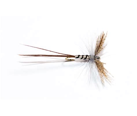 Mayfly Ribbed Dry Fly from guys at fish fishing flies branded quality flies