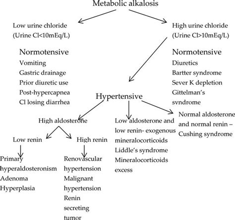 Bartter and Gitelman Syndromes | IntechOpen