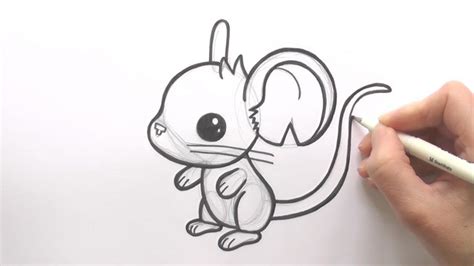 How to Draw A Mouse : Step By Step Guide