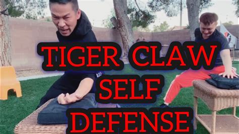 Tiger Kung fu for Beginners | Self Defense - YouTube