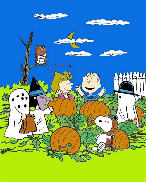 PEANUTS GANG HALLOWEEN Flag | Peanuts