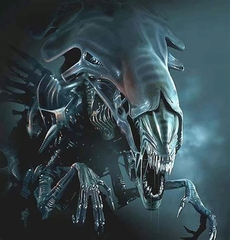 Xenomorph Queen | Alien vs predator, Alien artwork, Predator alien