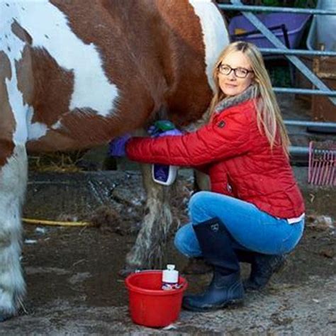 How do you clean a horses sheath? - DIY Seattle