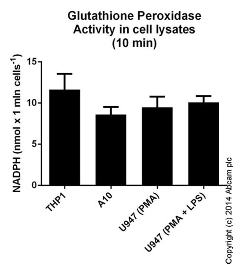 Glutathione Peroxidase Assay Kit (Colorimetric) (ab102530/K762-100) | Abcam