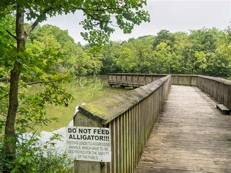 Tickfaw State Park hiking and nature trails | The Heart of Louisiana