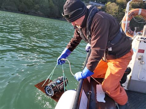 Underwater camera network to monitor the habitat needs of juvenile fish ...