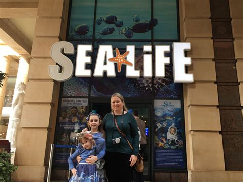 Sea Life Manchester Aquarium - Review – You need to visit | Family Travel Blog