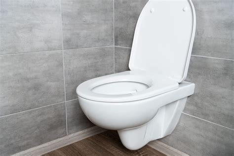 Are All Toilet Seats the Same Shape and Size? (Toilet Seat Types) » House Trick