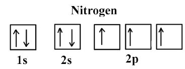 What is the atomic orbital diagram for nitrogen? | Study.com