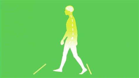 Why Gait Patterns Matter? Learn More About Bilateral Gait/Diplegia | Cerebral Palsy Foundation