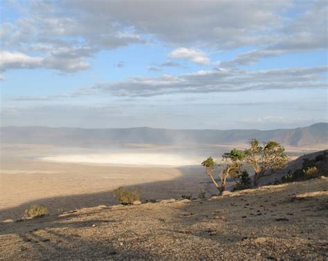 Ngorongoro Crater Weather: All You Need To Know - TourRadar