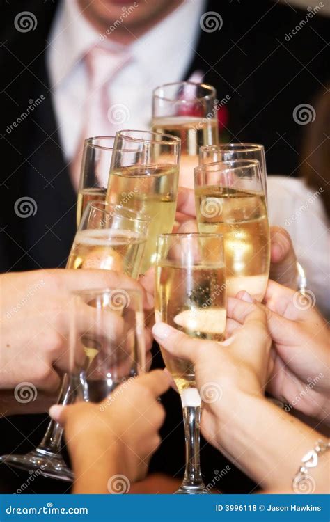 Wine toast stock photo. Image of drinking, party, happy - 3996118