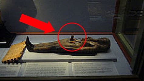 The Mummy: 5 Bizarre Things Found Inside Real Mummies! Facts in 5 ...