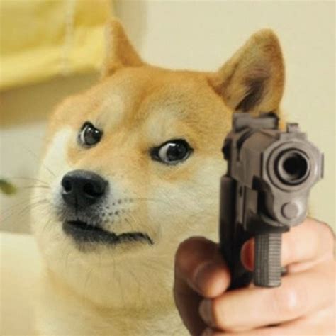 Meme chó Shiba Inu nổi tiếng CĐM là ai? Top ảnh chó Shiba bựa hài hước - Coolmate