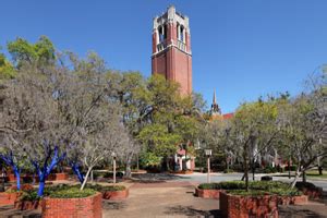 Explore UF: Ultimate Guide to University of Florida Tours