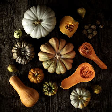 Pumpkin Harvest on Behance