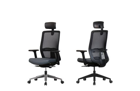 [Introduction] Ergonomic Office Chair,Lumbar Support Chair,Premium ...