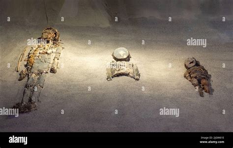 Mummies of the Chinchorro culture in the San Miguel de Azapa Archeological Museum, Chile ...