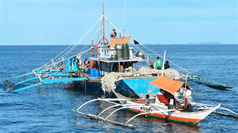 HULI | 74 arestado sa iligal na pangingisda sa Masbate City - RMN Networks