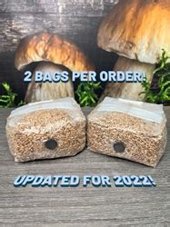 Grain Mushroom Spawn Bags | Midwest Grow Kits