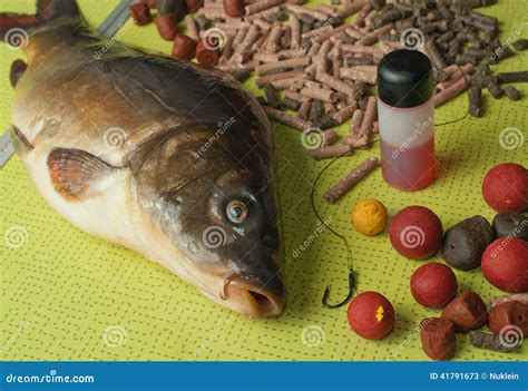 Mirror Carp, Bait and Fishing Tips on a Folding Ta Stock Image - Image of mirror, macro: 41791673