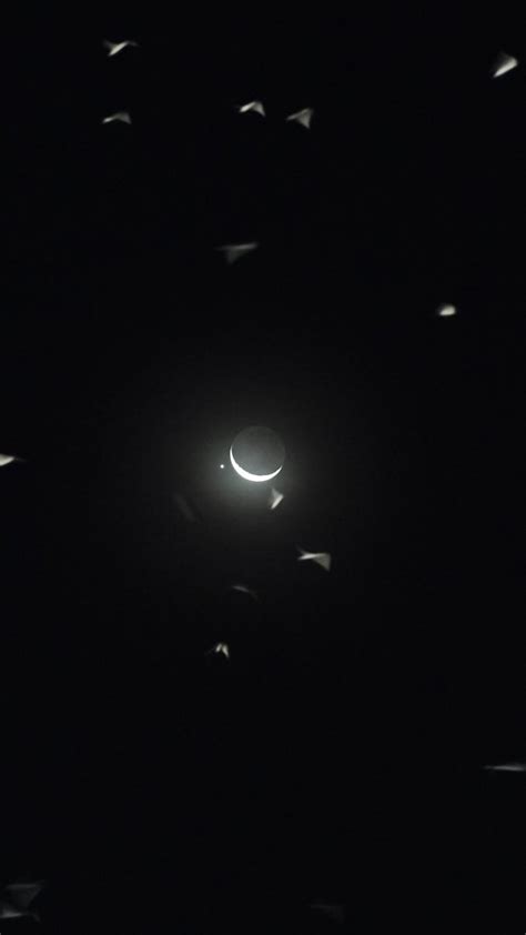 Put 🏴‍☠️ on Twitter: "crescent moon & Venus tonight"