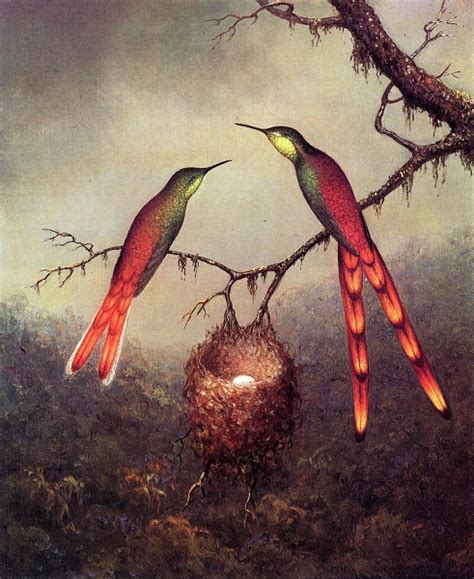 Hummingbirds and Orchids 1 by Martin Johnson Heade