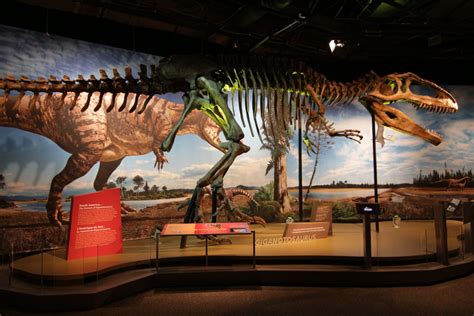 Perot Museum Of Nature And Science Celebrates Dinosaurs This Summer - Focus Daily News