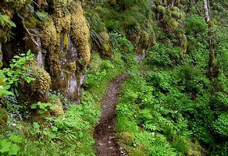 Clackamas River Trail | WyEast Blog