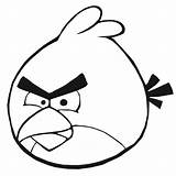 Pink Angry Bird Coloring Pages sketch template