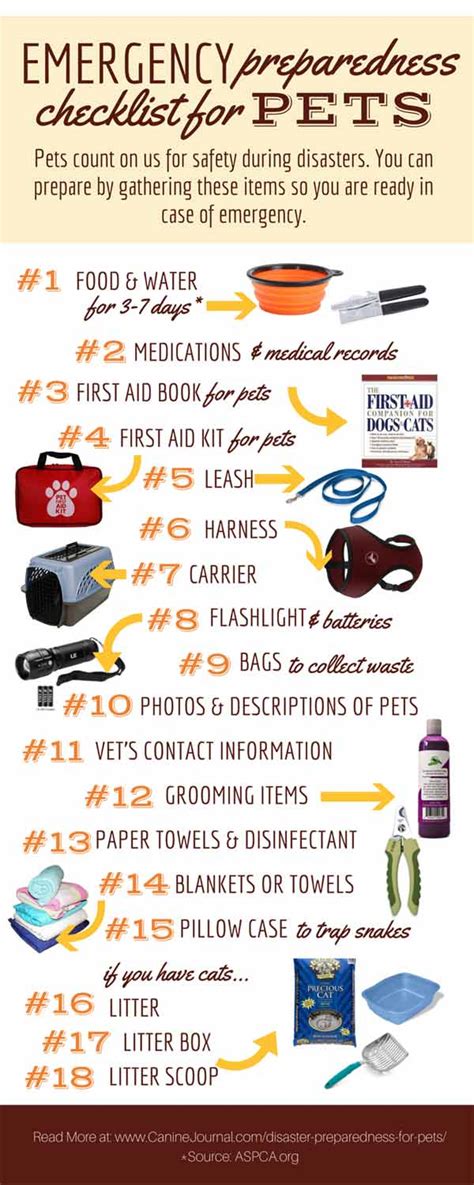 Your Essential Guide to Disaster Preparedness for Pets | CanineJournal.com