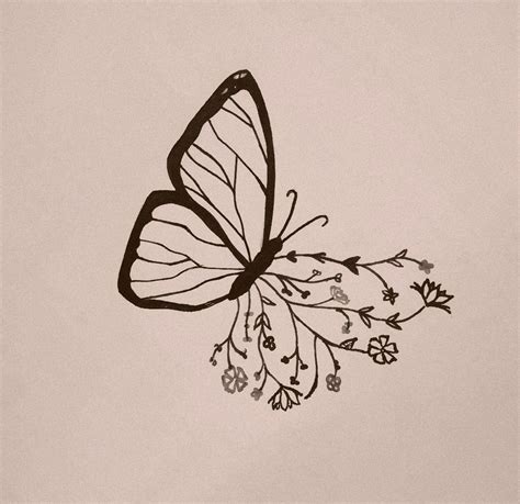 Butterfly Aesthetic Drawing Beautiful Image - Drawing Skill