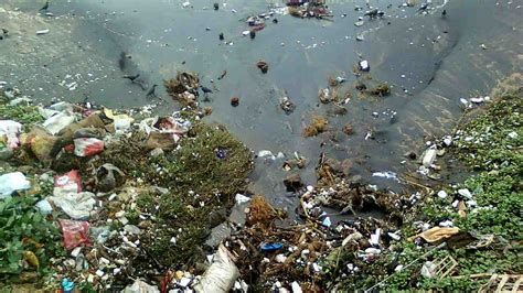 Ocean pollution is a mix of plastic, chemicals, toxic metals and is a clear danger to human ...