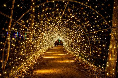 Longwood Gardens at Christmas: 8 Reasons to Visit - Guide to Philly