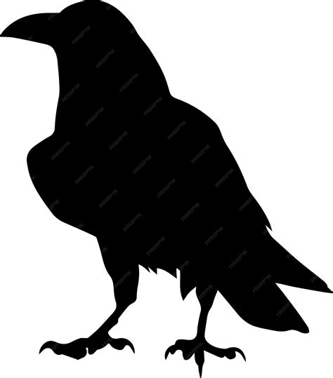 Premium Vector | Crow vector silhouette illustration 11