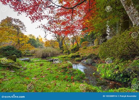 Autumnal Scenery of Nikko National Park Stock Photo - Image of garden ...