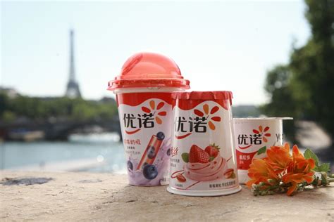 The Yoghurt Market in China : An Opportunity for Foreign Brands ...